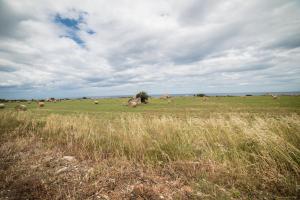 Natuurlandschap vlak bij het pension