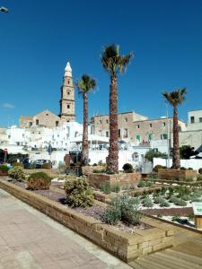 Budova, kde se apartmán nachází + 19 fotografií