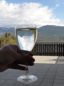 a hand holding a glass of wine with a view at Złoty in Szklarska Poręba
