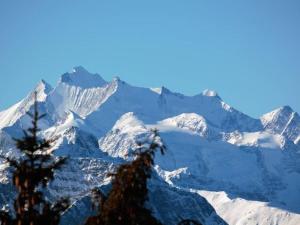 una cordillera cubierta de nieve con un árbol en el primer plano en Apartment Bärgblüemli - 1- Stock Ost by Interhome, en Bettmeralp