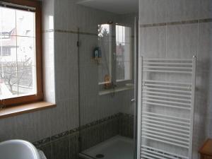 um chuveiro com uma porta de vidro na casa de banho em Apartmány Znojmo em Znojmo