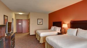 Μια τηλεόραση ή/και κέντρο ψυχαγωγίας στο Holiday Inn Express Tyler South by IHG