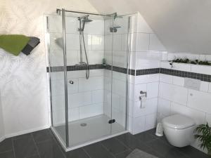 a bathroom with a shower and a toilet at Ferienwohnung „Anhaide“ in Wörth am Rhein