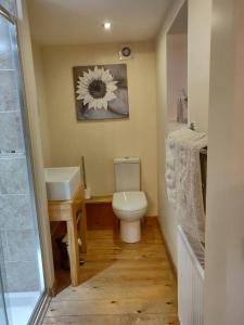 a small bathroom with a toilet and a sink at Whitehouse Cottage - Great Paxton in Saint Neots