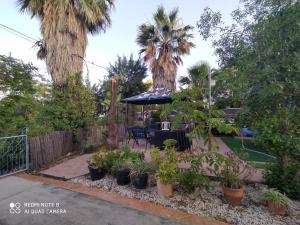 a patio with palm trees and plants in a yard at Aviv in Rosh Pina in Rosh Pinna