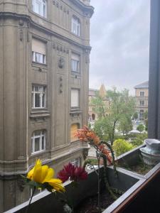 ein Fenster mit Blick auf ein Gebäude mit Blumen auf einem Fensterbrett in der Unterkunft Butterfly Home Danube in Budapest