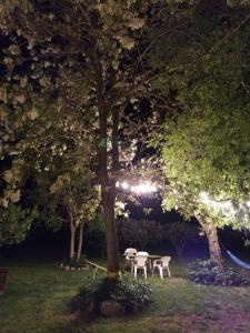 Vonkajšia záhrada v ubytovaní Masia Can Ninot
