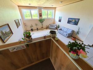 einen Blick über ein Wohnzimmer mit Topfpflanzen in der Unterkunft Gabriel in Maardu