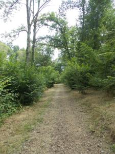 Gallery image of côté jardin in Saint-Clément