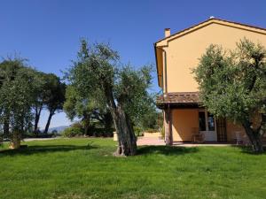 une maison avec un arbre dans la cour dans l'établissement B&B La Casetta, à Montecarlo