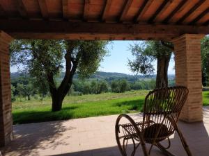 a bench on a patio with a view of a field at B&B La Casetta in Montecarlo