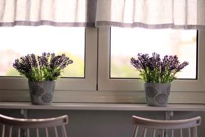 dos jarrones con flores sentados en el alféizar de la ventana en DiDa home, en Keramotí