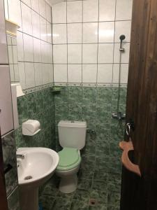 a bathroom with a green and white toilet and a sink at Под старата липа in Goritsa