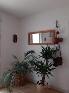 une chambre avec deux plantes en pot et un miroir dans l'établissement ESCAPADE AU COEUR DE LA RIVIERA BRETONNE, à La Forêt-Fouesnant
