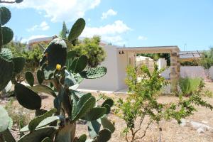 A garden outside Trullo Le Macchie