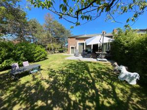 ein Haus mit zwei Hunden im Hof in der Unterkunft Welcome in - Lepelblad 44, Nieuwvliet in Nieuwvliet