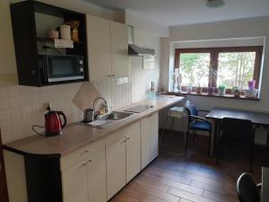a kitchen with a sink and a counter top at Willa Bursztynowa 13 in Gdańsk