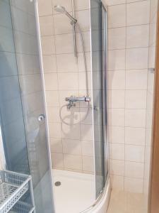 a shower with a glass door in a bathroom at Na Zakręcie in Ochotnica Górna