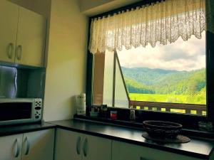 a kitchen with a window with a view of a mountain at Tampa Gardens Apartment in Braşov
