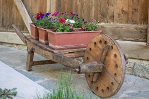 Gallery image of Chalet Mas del Toni in Rabbi