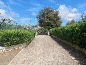 Zahrada ubytování B & B La Mansarda + 11 fotografií