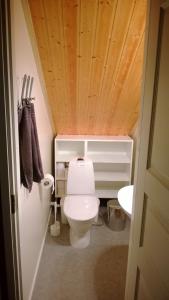 een kleine badkamer met een toilet en een wastafel bij Rattle Nest in Loimaa