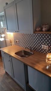 una cucina con lavandino e piano di lavoro di 2 persoons appartement Le Garage a Frieschepalen