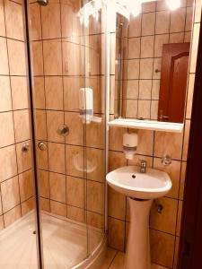 Koupelna v ubytování Hotel Poenita + 34 fotografií