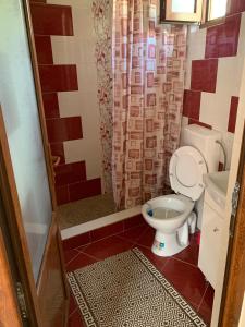 Casa Flori في كاليمانيشتي: حمام صغير مع مرحاض ودش