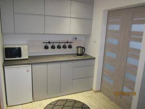 Kuchyň nebo kuchyňský kout v ubytování Apartament nad jeziorem Białym