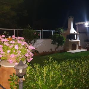 A garden outside Marina Villa