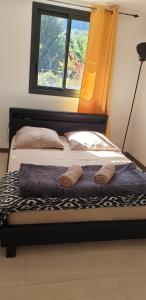 een bed met twee kussens en een raam bij La caz' à Chisy in Cilaos