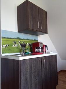 eine Küche mit einer Spüle und einer Theke mit Kühen auf dem Feld in der Unterkunft Schmidt's Pension Schwansee in Groß Schwansee
