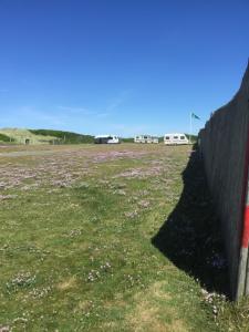 una cerca en un campo con flores púrpuras en Løkken Strand Camping (Empty Lot), en Løkken