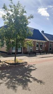 a tree in the middle of a street in front of a building at 2 persoons appartement Le Garage in Frieschepalen