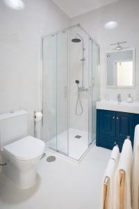 uma casa de banho com um chuveiro, um WC e um lavatório. em Casa D'Oliveira em Aveiro