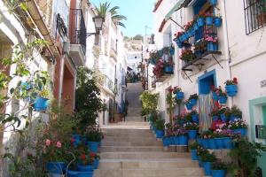 a stairway with blue pots of flowers and plants at Apartamento en el centro de Alicante in Alicante