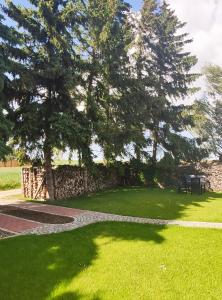 Ein Baum wirft einen Schatten auf das Gras in der Unterkunft Ferienwohnung Dobberzin nahe Mündesee in Angermünde