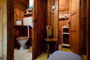 a bathroom with a toilet in a wooden cabin at Chalet Pinja - I FEEL ALPS in Stahovica