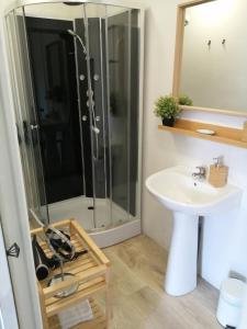 een badkamer met een wastafel en een douche bij Le regard de Mona Lisa in Amboise