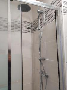 a shower in a bathroom with a glass door at Petite halte Appt 103 in Sens