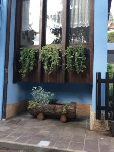 a blue building with potted plants on the wall at BnB Trento in Trento +67 photos