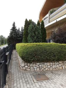 Aed väljaspool majutusasutust Jozefin apartman