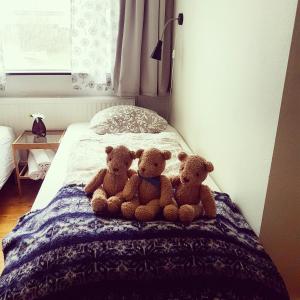 Postel nebo postele na pokoji v ubytování Móra guesthouse