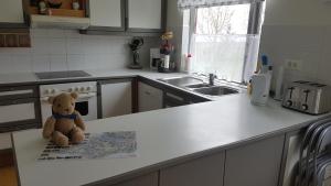 Kuchyň nebo kuchyňský kout v ubytování Móra guesthouse