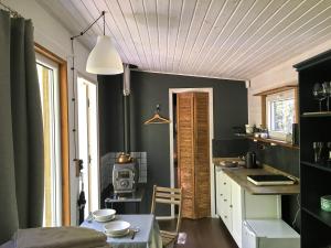 a kitchen with green walls and a table in a room at Inkilas in Sidabrinės