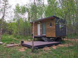 a tiny house in the woods with a deck at Inkilas in Sidabrinės