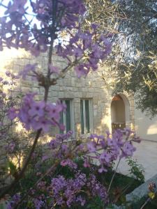 Un mazzo di fiori viola davanti a un edificio. di Villa Koumneni a Pano Akourdalia