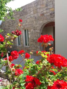 un montón de flores rojas delante de un edificio en Villa Koumneni, en Pano Akourdalia