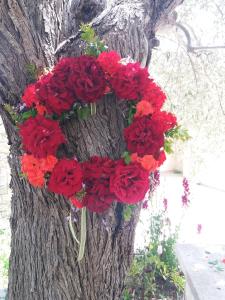 una corona de flores rojas en un árbol en Villa Koumneni, en Pano Akourdalia